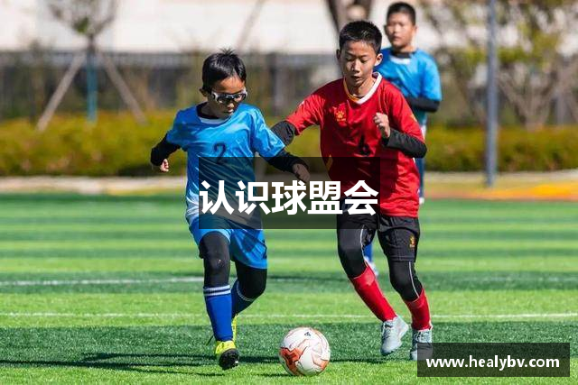 认识球盟会